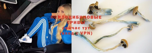 гашиш Осташков