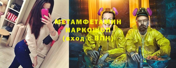 PSILOCYBIN Щигры