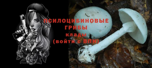 PSILOCYBIN Щигры