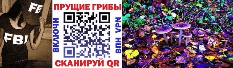 Галлюциногенные грибы Magic Shrooms  купить   hydra ONION  Бежецк 